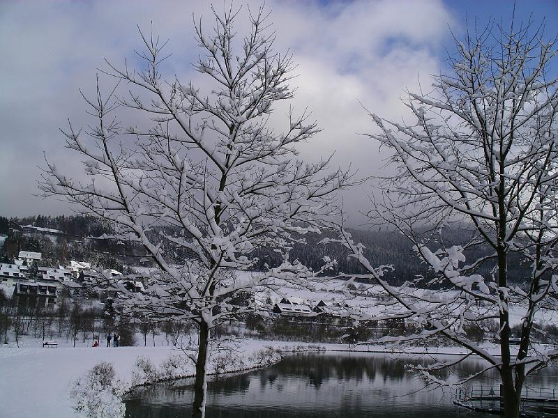 Winter 15.jpg